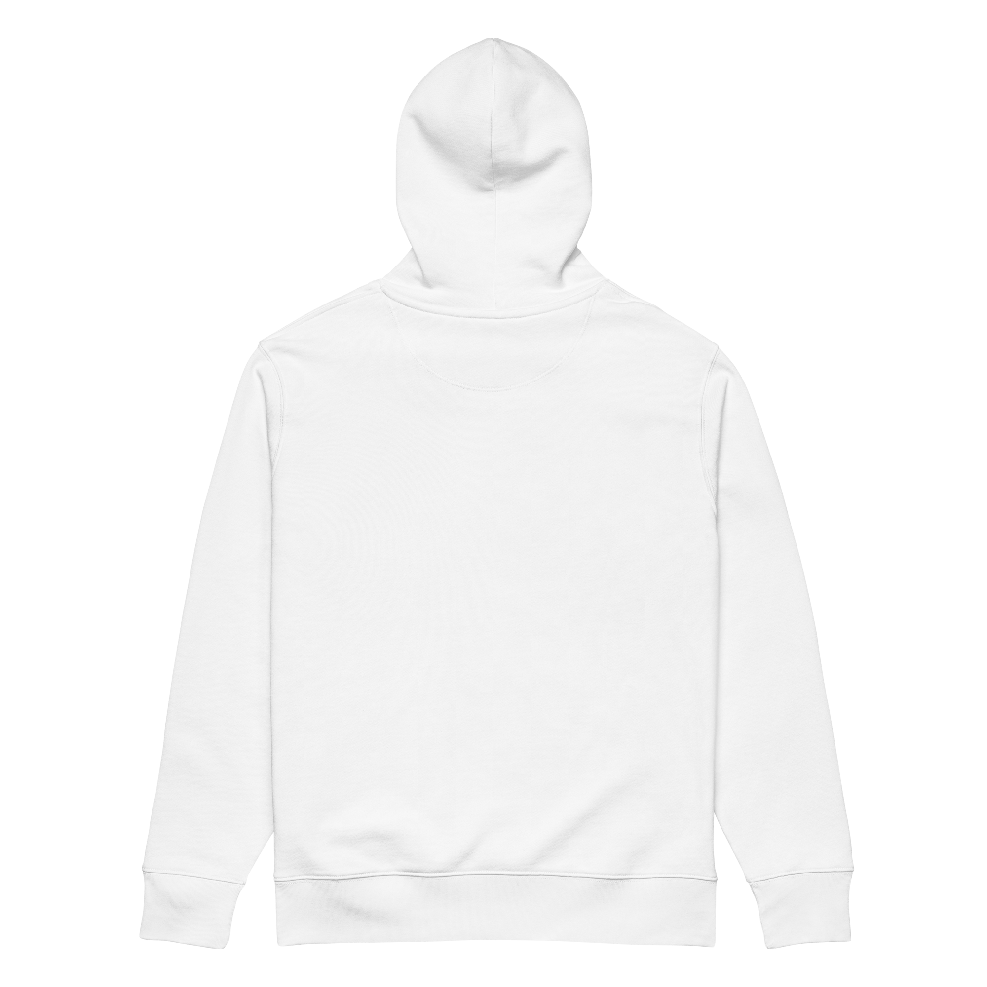 EMBROIDERED WATERMELON ECO HOODIE